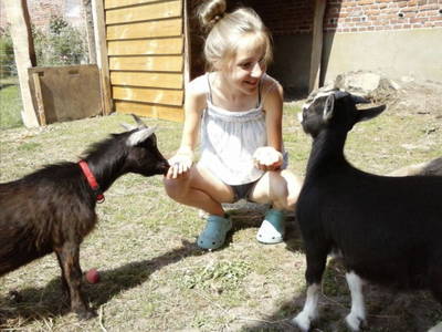 Bild 28 aus  Nübbelhof