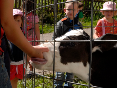 Bild 8 aus  Kirnermartes Hof