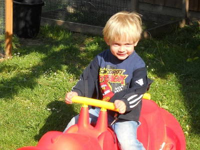 Bild 10 aus  Ferienbauernhof Storchenhäusle