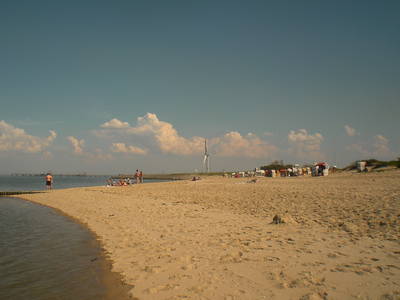 Bild 14 aus  Katrin's Ferienhof