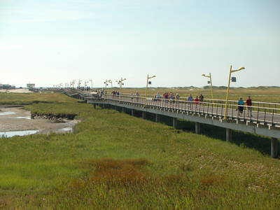 Bild 50 aus  Ferienhof Peter -  Ponys - streicheln, striegeln, füttern  -  Wattwanderungen + ganz viel Nordsee