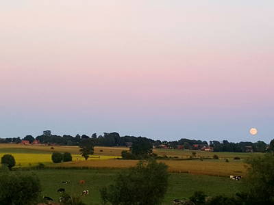 Bild 11 aus  Ferienbauernhof Behnke