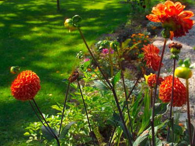 Bild 35 aus  Ferien am Schloss