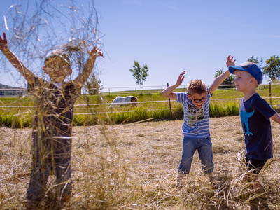 Bild 7 aus  Ferienhof Neudeck