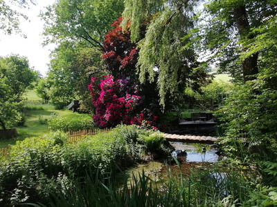 Bild 17 aus  KlangHoff