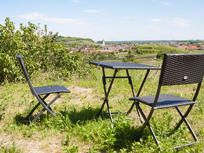 Bild 21 aus  Winzerhof Wiedemann