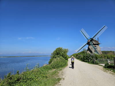 Bild 38 aus  Urlaub bei Familie Schmidt in Wippendorf