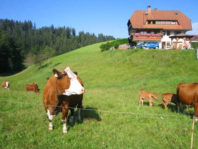 Bild 13 aus  Schreinerhäusle