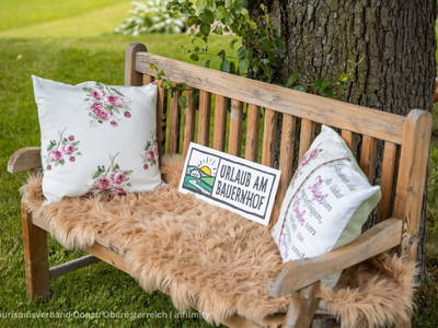 Bild 69 aus  Obergrafenberger