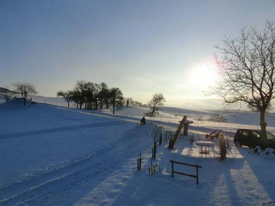 Bild 21 aus  Bio-Bauernhof Haunschmid