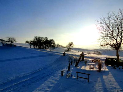 Bild 19 aus Bio-Bauernhof Haunschmid