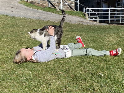 Bild 62 aus  Hoferhof