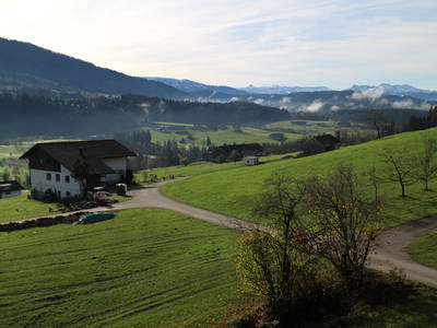 Bild 24 aus  AuszeitHof Vögel