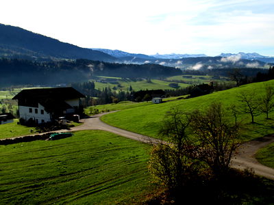Bild 13 aus AuszeitHof Vögel