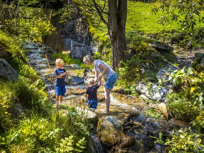 Bild 46 aus  Bio-Bauernhof Schweizerhof