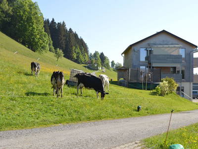 Bild 2 aus  Ferienhof Feurle