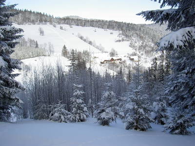 Bild 21 aus  Almbauer