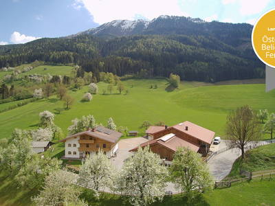 Bild 38 aus  Taxengut