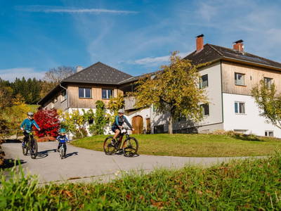 Bild 2 aus  Gut Pecketsberg