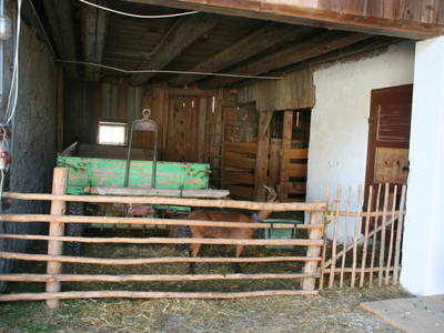 Bild 121 aus  Kaspergut