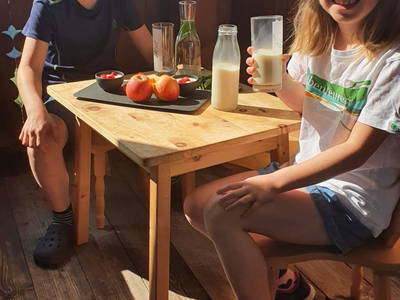 Bild 74 aus  Breierhof Zell im Zillertal Tirol