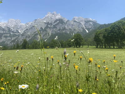 Bild 102 aus  Alpen Appartements Oberlehengut