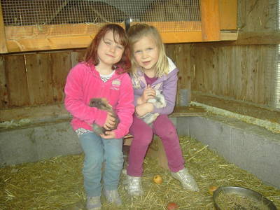 Bild 57 aus  Familienbauernhof Strassbauer