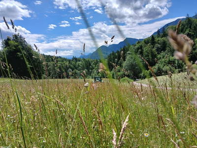 Bild 47 aus Bio-Bauernhof Vordergschwandtgut
