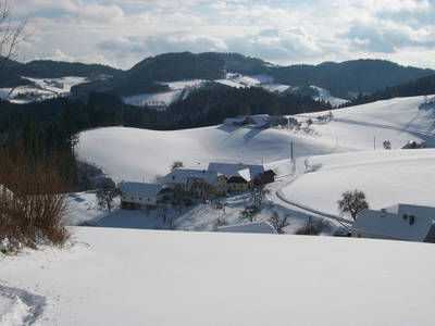 Bild 36 aus  Bauernhof Leonhartsberger "Fuchs"