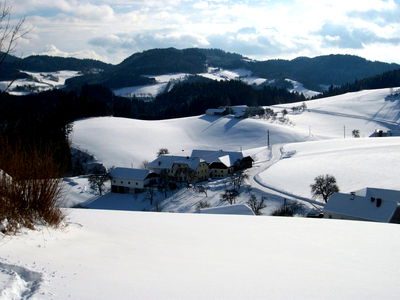 Bild 28 aus Bauernhof Leonhartsberger "Fuchs"