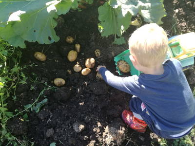 Bild 43 aus  Reitlhof am Sonnenhang   Bio-Bergbauernhof bei Salzburg 
