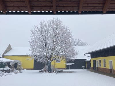 Bild 39 aus Appartment Weinbergblick
