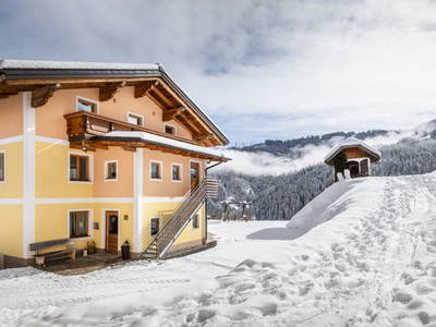 Bild 115 aus  Brennergut