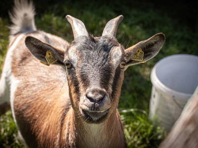 Bild 24 aus  Ebnerhof