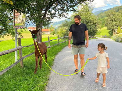 Bild 137 aus  Taxengut