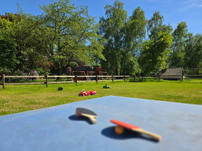 Bild 6 aus  Ferienwohnungen Seehof Reuter