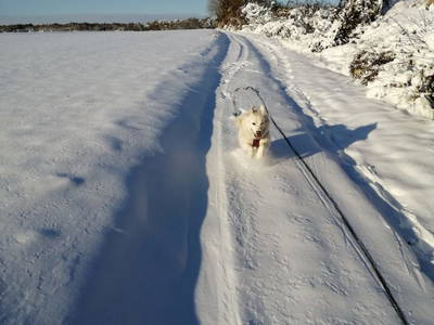 Bild 66 aus  Gästehaus Greisslerei Gösing 