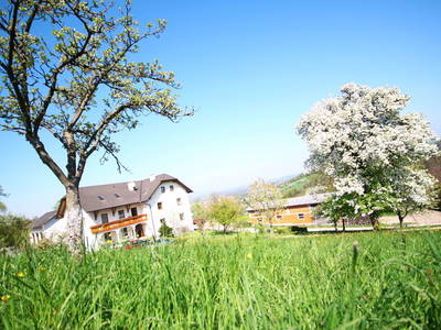 Bild 2 aus  Familie Resch am Hörlesberg