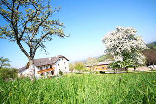 Familie Resch am Hörlesberg aus Neuhofen an der Ybbs