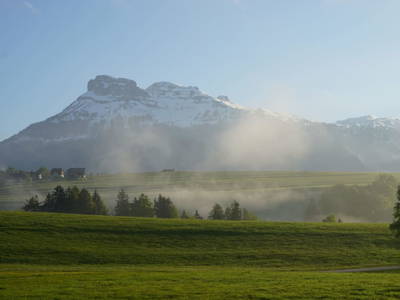 Bild 224 aus  Stanglhof