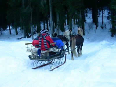 Bild 86 aus  Biohof Heidegger