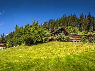 Bild 86 aus  Zauchtalerhof