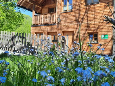 Bild 55 aus  Spitzenhof