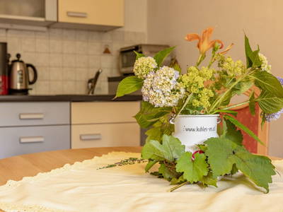 Bild 27 aus  Demobetrieb Bauernhof