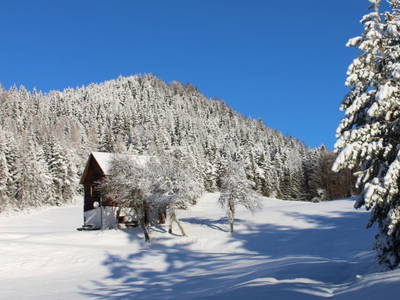 Bild 83 aus  Prebernighütte