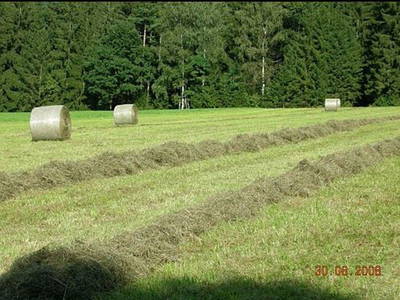 Bild 59 aus   Pammer - Jahn