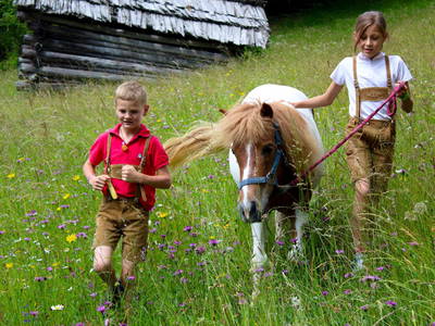 Bild 27 aus  Hauserhof am Goldberg