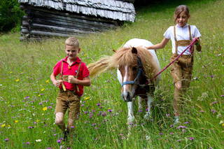 Hauserhof am Goldberg aus Dellach