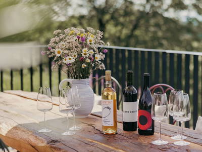 Bild 15 aus  Refugien Am WILDBACHBERG