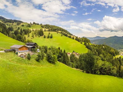 Bild 136 aus Almhütte Brandgut